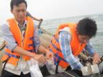 Đã có kết luận cá biển chết ở Thừa Thiên Huế