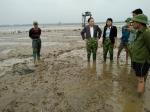 Sở Nông nghiệp và PTNT kiểm tra, xác định nguyên nhân, hướng dẫn khắc phục tình trạng ngao chết tại Hậu Lộc
