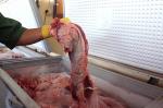 Phát hiện cơ sở “hô biến” thịt trâu không kiểm dịch thành thịt bò